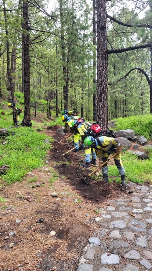 Equipo de intervención forestal trabajando en sendero de pinar