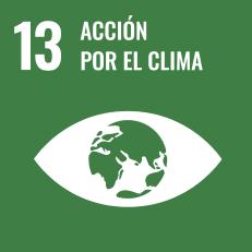 Icono ODS 13 Acción por el clima con ojo y planeta Tierra sobre fondo verde simbolizando conciencia climática