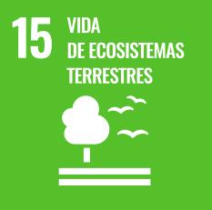 Icono ODS 15 Vida de ecosistemas terrestres con árbol y aves sobre fondo verde representando biodiversidad